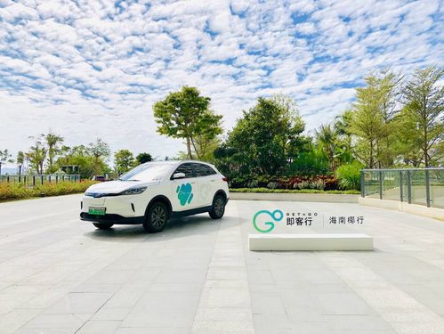 現在說造車格局已定為時尚早,雙logo加持的威馬就是最大變量