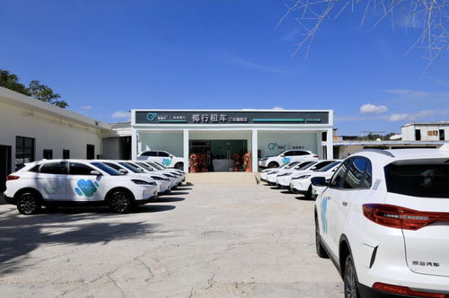 海南 到2025年,全省將投放共享汽車1萬輛